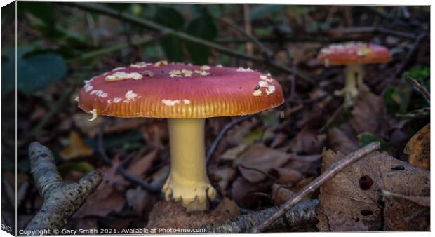 Fly Agaric (Alice in Wonderland) x2  Canvas Print by GJS Photography Artist