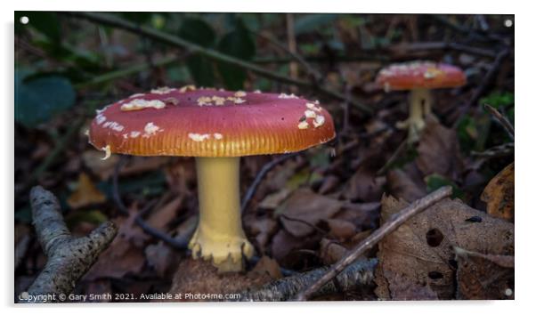 Fly Agaric (Alice in Wonderland) x2  Acrylic by GJS Photography Artist