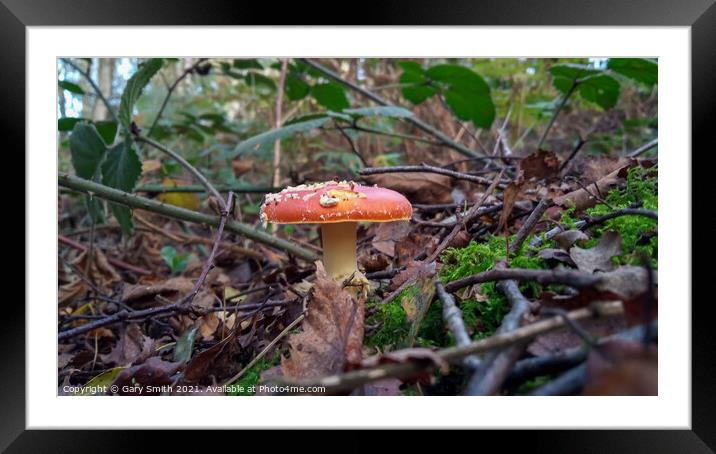 Fly Agaric (Alice in Wonderland) Framed Mounted Print by GJS Photography Artist