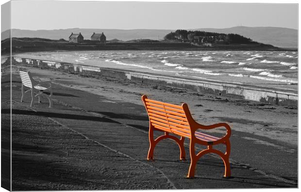 Coloured bench on Prestwick prom Canvas Print by Allan Durward Photography