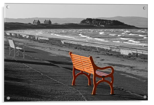Coloured bench on Prestwick prom Acrylic by Allan Durward Photography