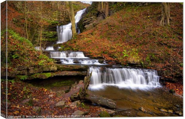  Majestic Autumn waterfall in the Yorkshire dales. Canvas Print by PHILIP CHALK