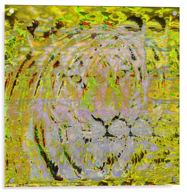 Glitch art on siberian tiger Acrylic by daniele mattioda