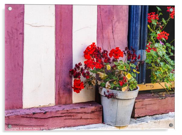 Red Geranium Wiindow Old Town Street Honfluer France Acrylic by William Perry