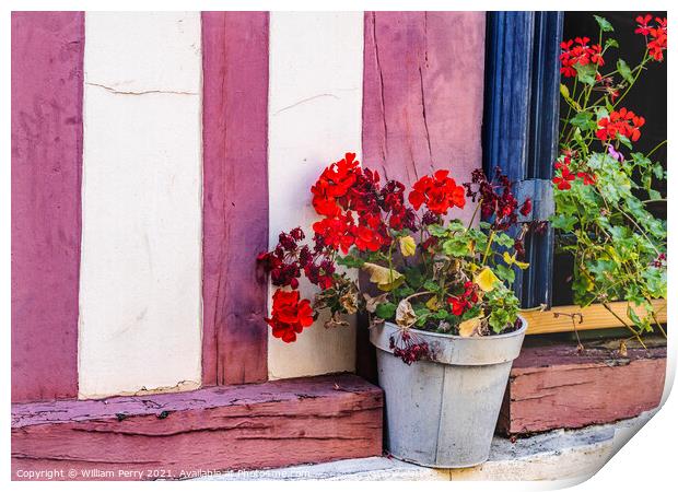 Red Geranium Wiindow Old Town Street Honfluer France Print by William Perry