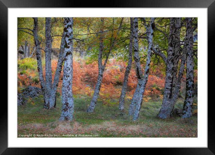 Colorful autumn landscape at Manteigas - Serra da Estrela - Portugal Framed Mounted Print by Paulo Rocha