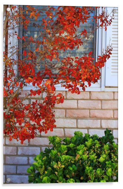 Autumn Leaves Acrylic by Tony Mumolo