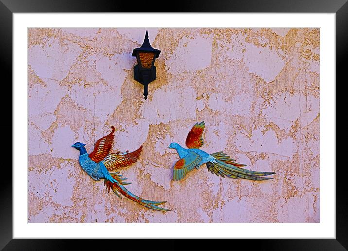 Birds of Paradise Framed Mounted Print by Tony Mumolo