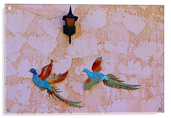 Birds of Paradise Acrylic by Tony Mumolo