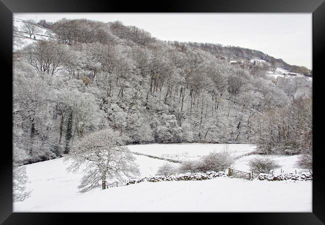 Winter landscape in Calderdale. Framed Print by David Birchall