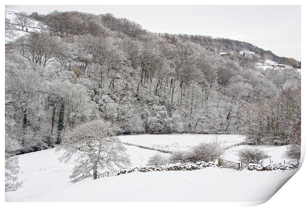 Winter landscape in Calderdale. Print by David Birchall