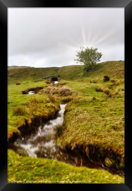 Dartmoor Leat Framed Print by Stephen Hamer
