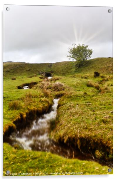 Dartmoor Leat Acrylic by Stephen Hamer