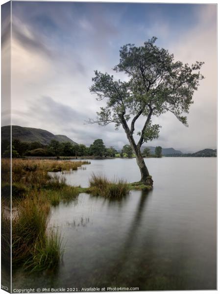 Eusemere Lone Tree Canvas Print by Phil Buckle