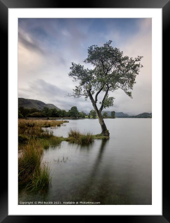 Eusemere Lone Tree Framed Mounted Print by Phil Buckle