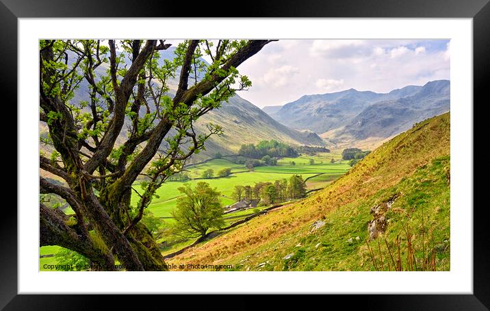 Grisedale, Lake District, Cumbria.  Framed Mounted Print by Jason Connolly
