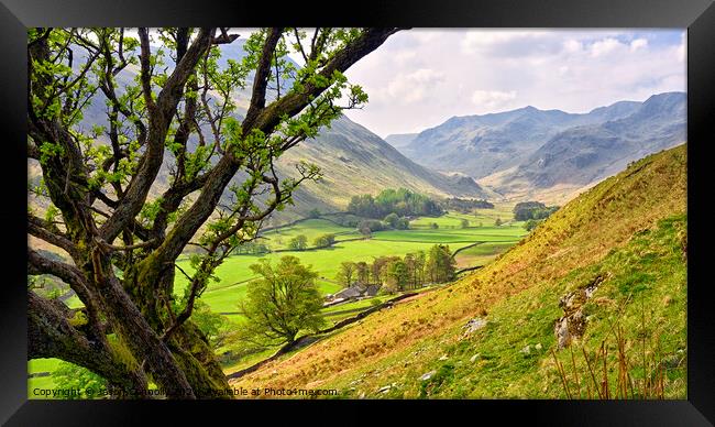 Grisedale, Lake District, Cumbria.  Framed Print by Jason Connolly