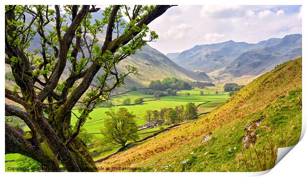 Grisedale, Lake District, Cumbria.  Print by Jason Connolly