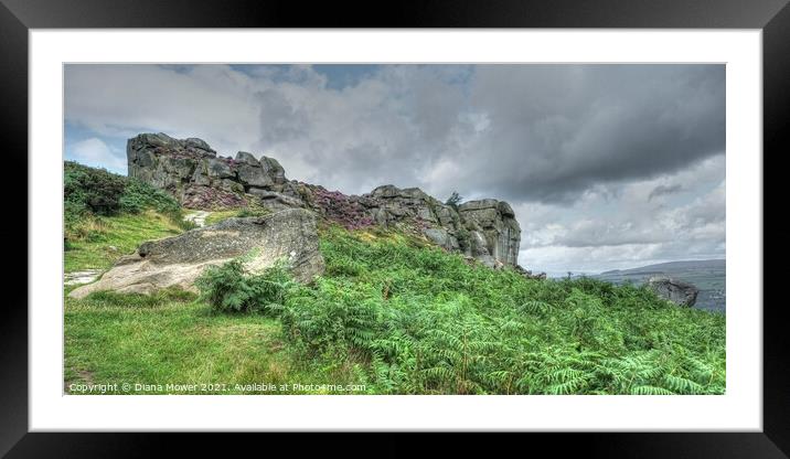 Cow and Calf Ilkley Moor Framed Mounted Print by Diana Mower