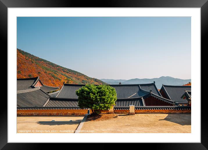 Autumn of Beomeosa temple in Korea Framed Mounted Print by Sanga Park