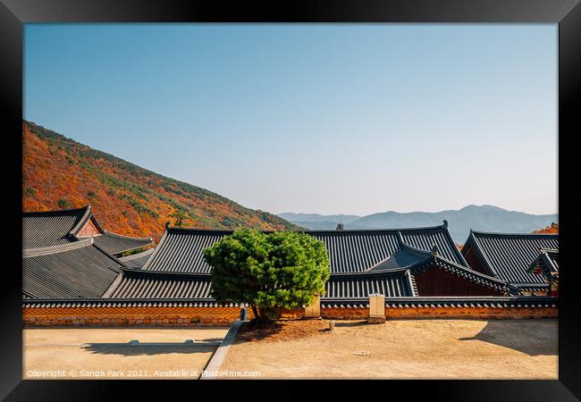 Autumn of Beomeosa temple in Korea Framed Print by Sanga Park
