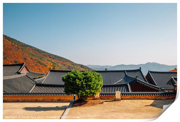 Autumn of Beomeosa temple in Korea Print by Sanga Park