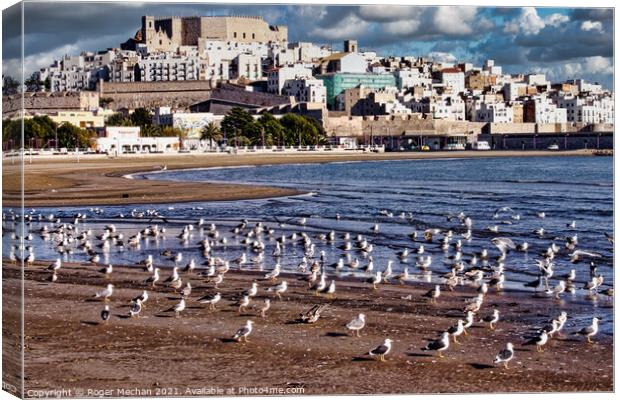 Seagulls' View of Peniscola Castle Canvas Print by Roger Mechan