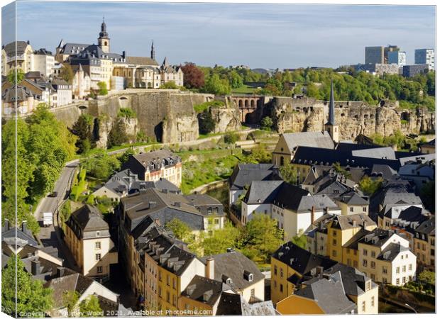 Enchanting Luxembourg A Rooftop View Canvas Print by Dudley Wood