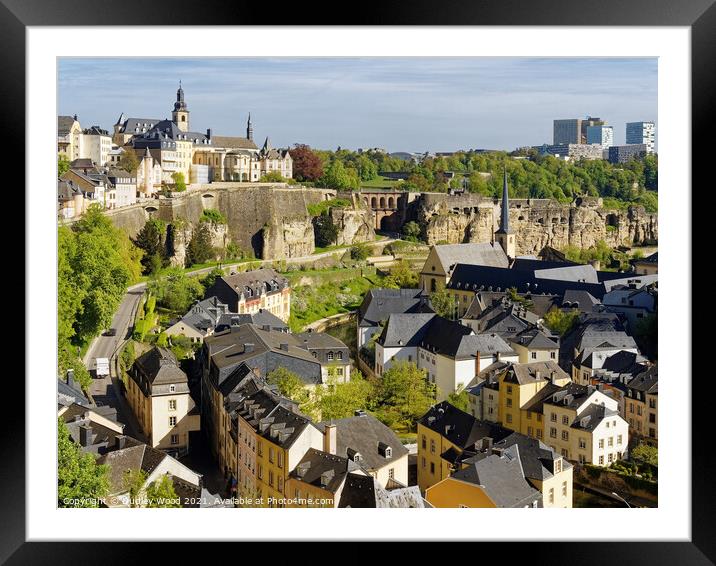 Enchanting Luxembourg A Rooftop View Framed Mounted Print by Dudley Wood