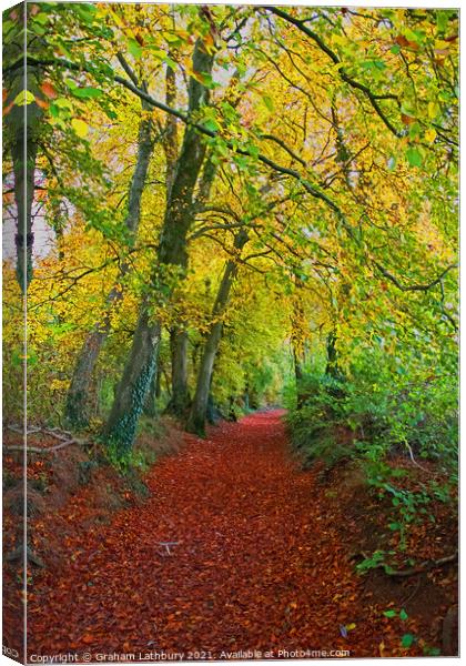 Autumnal Westridge Woods, Cotswolds Canvas Print by Graham Lathbury