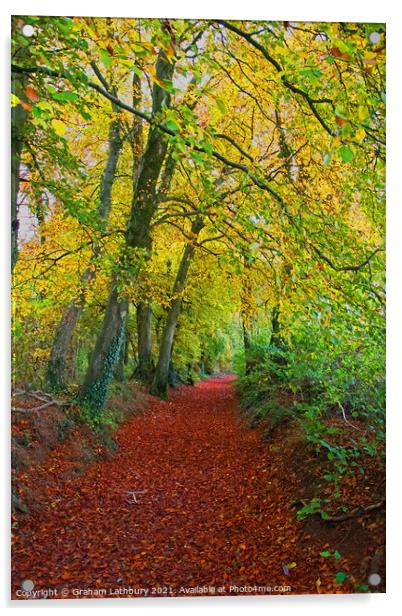 Autumnal Westridge Woods, Cotswolds Acrylic by Graham Lathbury