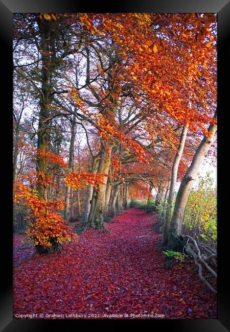 Autumnal Westridge Woods, Cotswolds Framed Print by Graham Lathbury