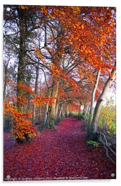 Autumnal Westridge Woods, Cotswolds Acrylic by Graham Lathbury