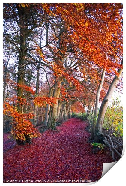Autumnal Westridge Woods, Cotswolds Print by Graham Lathbury