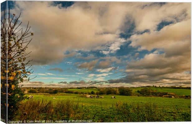 Spen Valley Canvas Print by Colin Metcalf