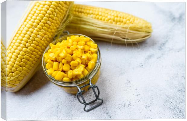 Sweet corn kernels are boiled and packed in cans to preserve the Canvas Print by Joaquin Corbalan