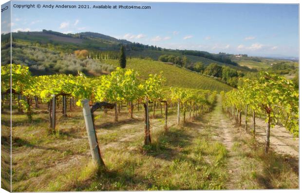 Tuscan Vineyard Canvas Print by Andy Anderson
