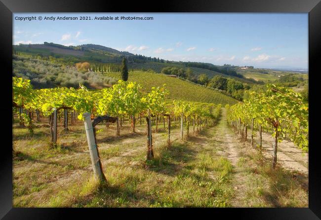 Tuscan Vineyard Framed Print by Andy Anderson