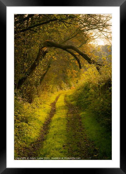The Overarching Branch | Limpsfield Common Framed Mounted Print by Adam Cooke
