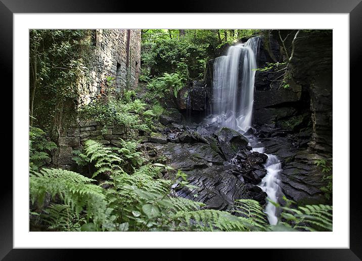 Lumsdale Valley Framed Mounted Print by Wayne Molyneux