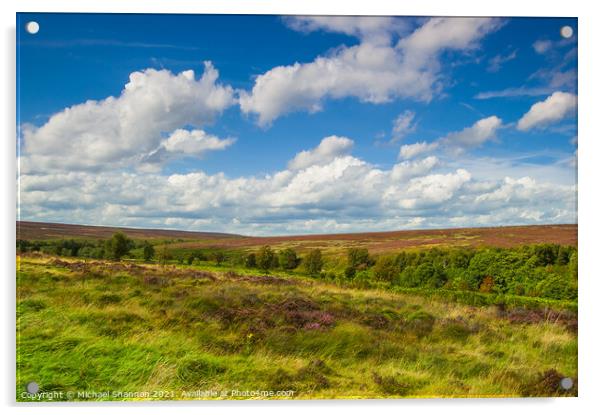 North Yorkshire Moors Landscape near Fen Bog Acrylic by Michael Shannon