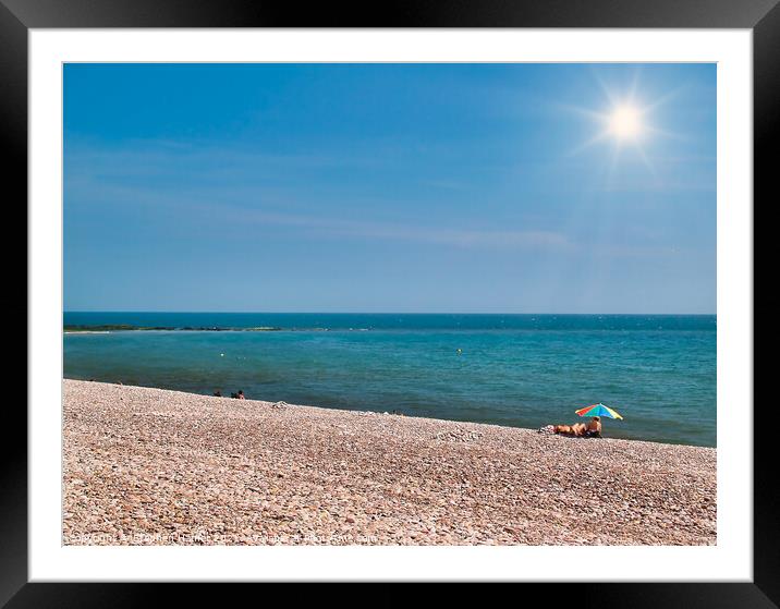 Summer Sun on Budleigh Salterton Beach Framed Mounted Print by Stephen Hamer