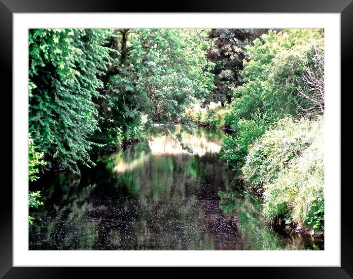 Sunlit River Framed Mounted Print by Stephanie Moore