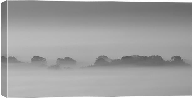 Trees In Mist Canvas Print by Clive Eariss