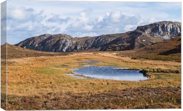 Pond at South Stack Cliffs Nature Reserve Canvas Print by Jason Wells