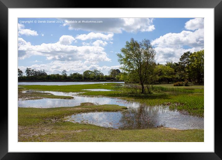 Hatchet Pond, New Forest East Boldre Framed Mounted Print by Derek Daniel