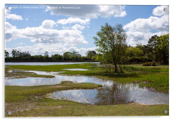 Hatchet Pond, New Forest East Boldre Acrylic by Derek Daniel