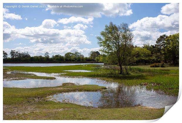 Hatchet Pond, New Forest East Boldre Print by Derek Daniel