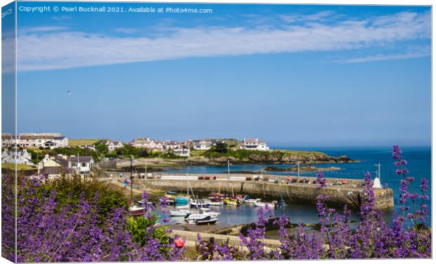 Cemaes Bay Anglesey Wales Canvas Print by Pearl Bucknall