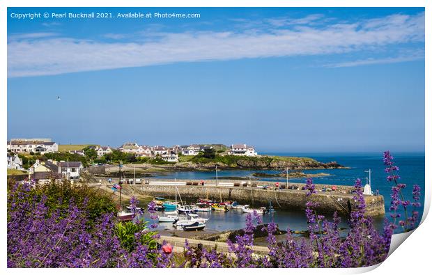 Cemaes Bay Anglesey Wales Print by Pearl Bucknall